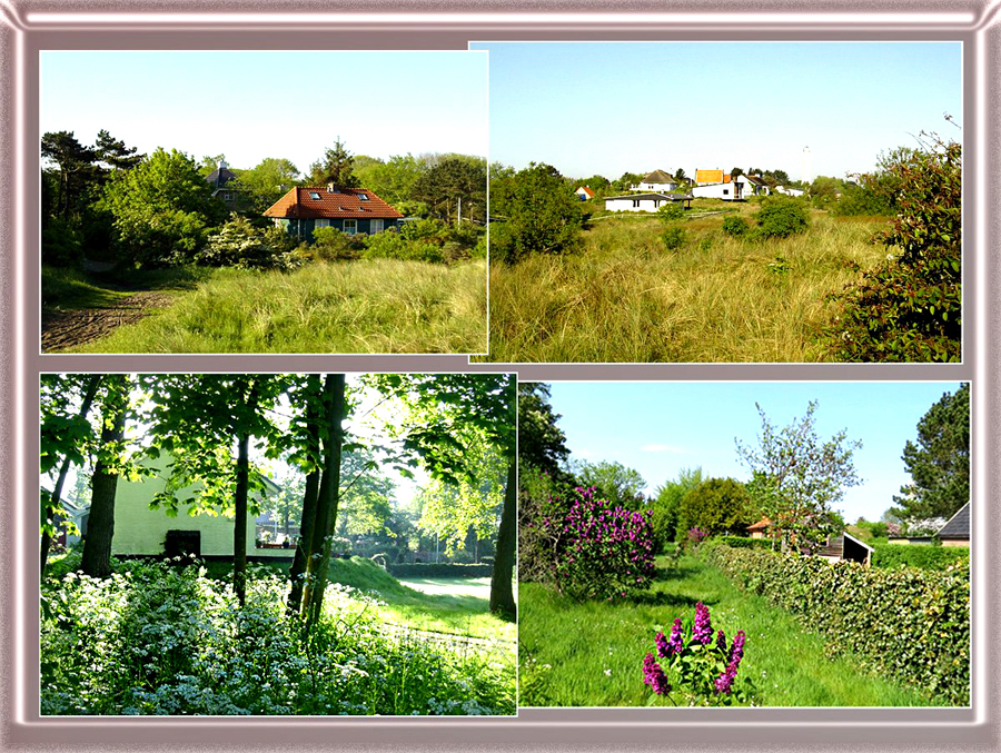 photo4.jpg